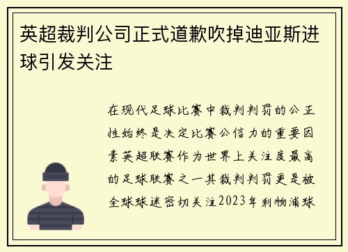 英超裁判公司正式道歉吹掉迪亚斯进球引发关注